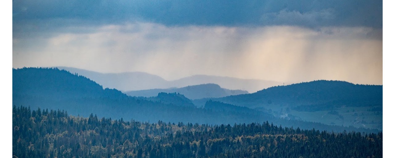 Morgane & Guillaume's Wedding